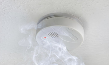 iStock_000077789067_Large-362x2171.jpg Smoke Alarm