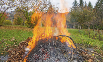 Smoke and fire from during Burning of garden waste